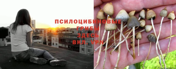 a pvp Армянск