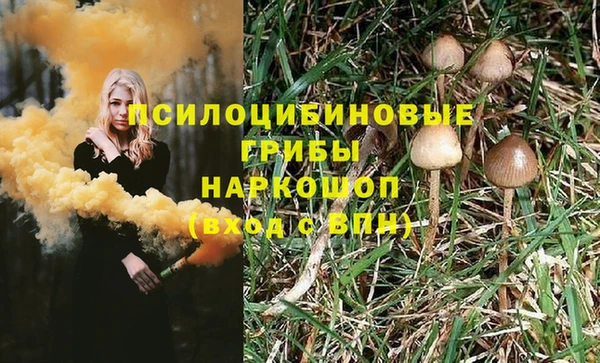 прущие крисы Арсеньев