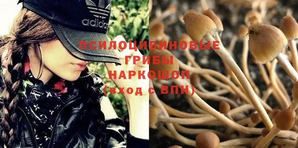 a pvp Армянск